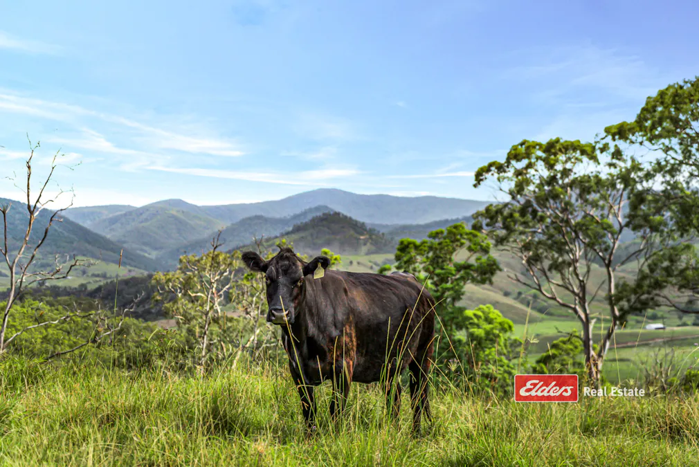 3756a Thunderbolts Way, Bretti, NSW, 2422 - Image 8