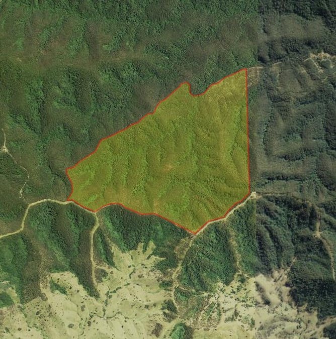 898 Callaghans Creek Road, Callaghans Creek via, Gloucester, NSW, 2422 - Image 16