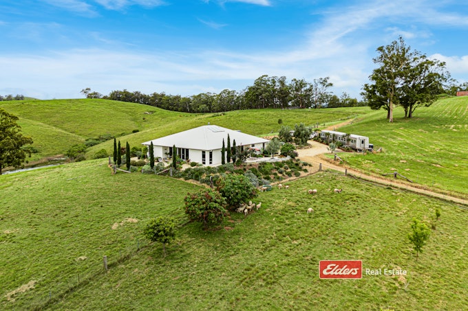 115 Wang Wauk Forest Way, Willina Via, Coolongolook, NSW, 2423 - Image 1