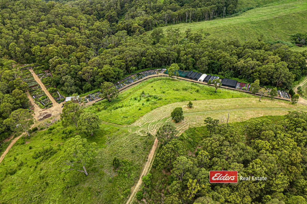 115 Wang Wauk Forest Way, Willina Via, Coolongolook, NSW, 2423 - Image 28