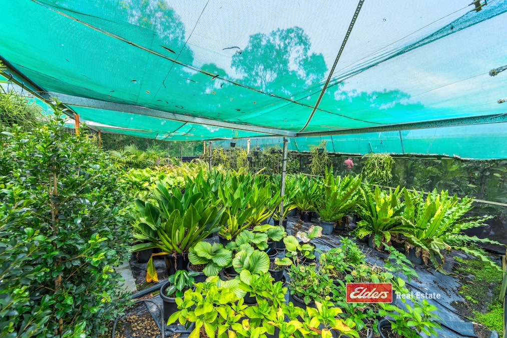 115 Wang Wauk Forest Way, Willina Via, Coolongolook, NSW, 2423 - Image 35