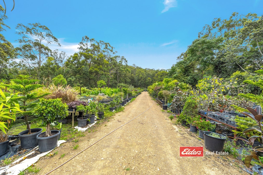 115 Wang Wauk Forest Way, Willina Via, Coolongolook, NSW, 2423 - Image 32