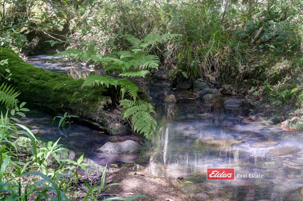 898 Callaghans Creek Road, Callaghans Creek via, Gloucester, NSW, 2422 - Image 8