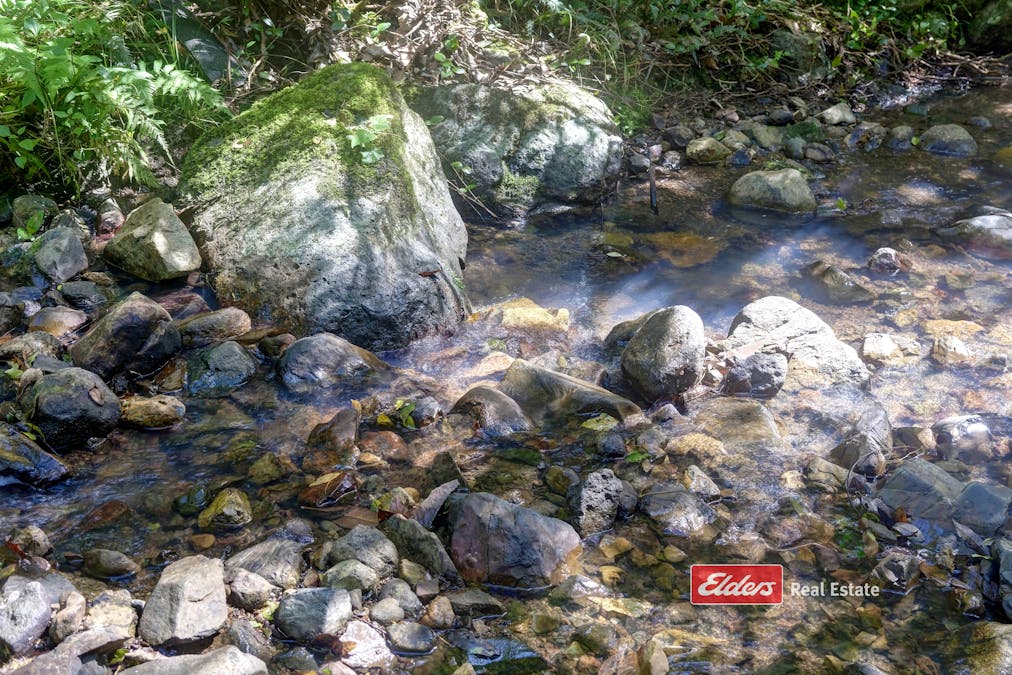 898 Callaghans Creek Road, Callaghans Creek via, Gloucester, NSW, 2422 - Image 12