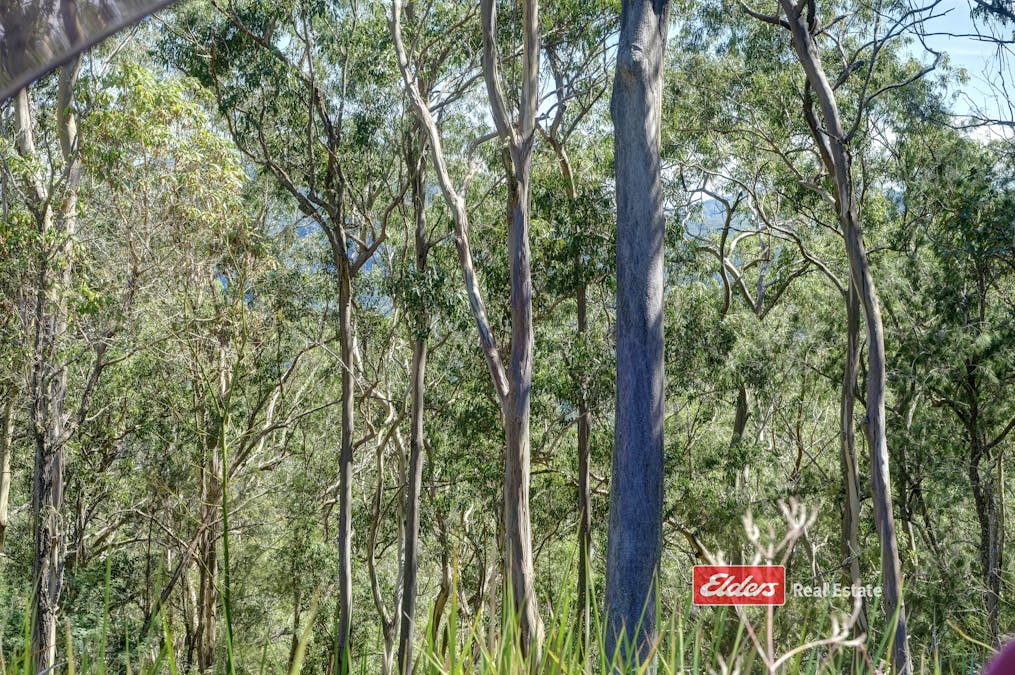 898 Callaghans Creek Road, Callaghans Creek via, Gloucester, NSW, 2422 - Image 13