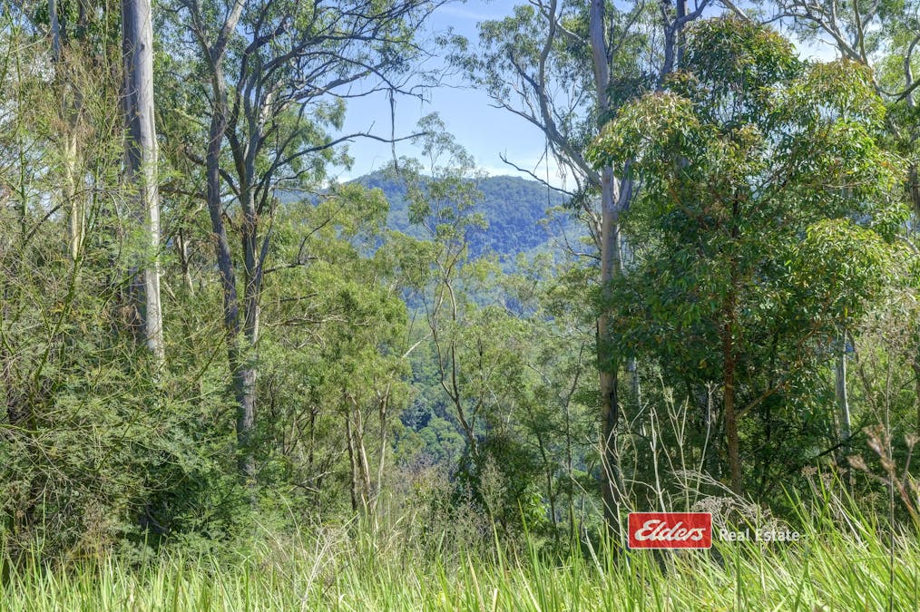 898 Callaghans Creek Road, Callaghans Creek via, Gloucester, NSW, 2422 - Image 9