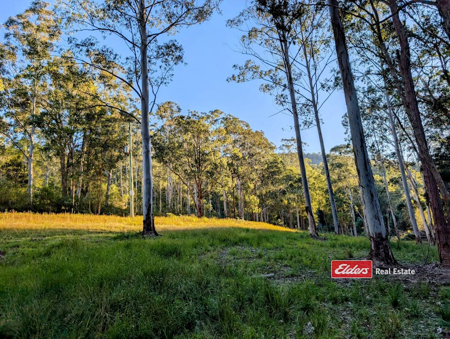 661 Craven Creek Road, Rookhurst via, Gloucester, NSW, 2422 - Image 12