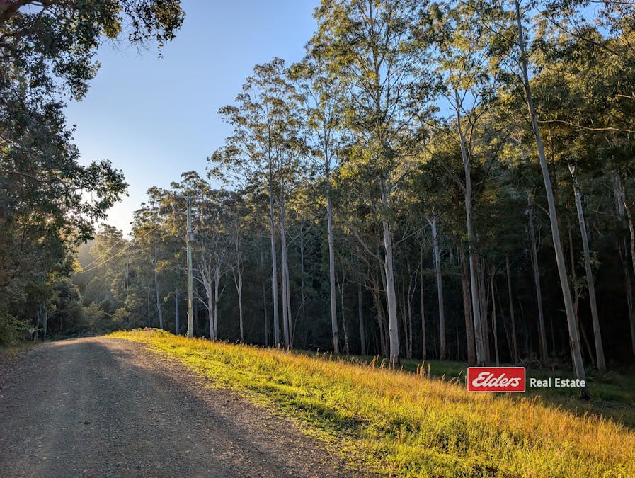 661 Craven Creek Road, Rookhurst via, Gloucester, NSW, 2422 - Image 6