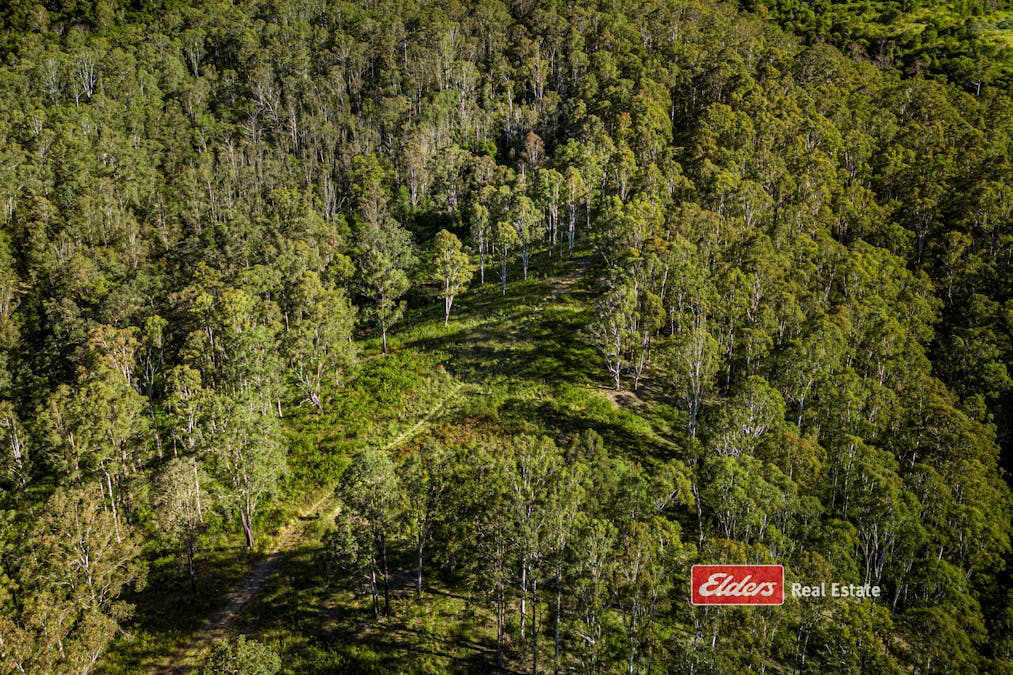 661 Craven Creek Road, Rookhurst via, Gloucester, NSW, 2422 - Image 27
