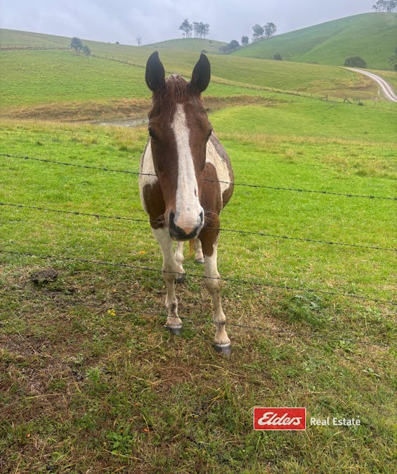 878 Wallanbah Road, Wallanbah via, Gloucester, NSW, 2422 - Image 16