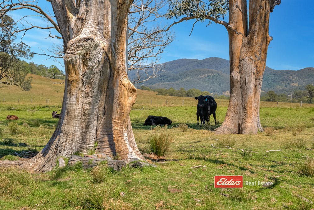 879 Bowman Farm Road, Bowman Farm via, Gloucester, NSW, 2422 - Image 26