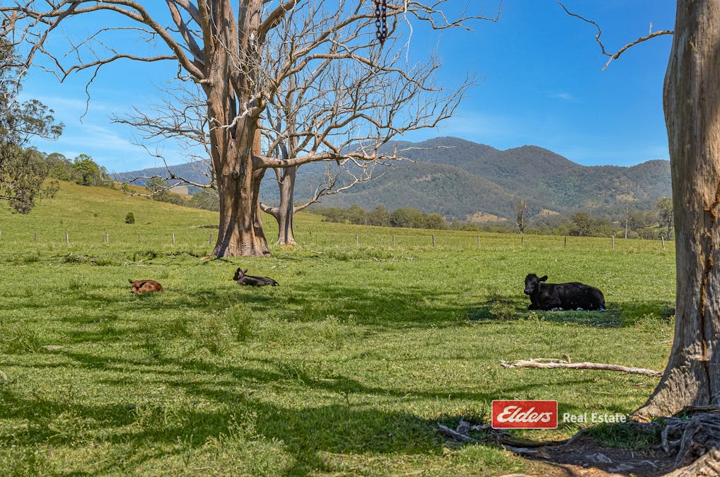 879 Bowman Farm Road, Bowman Farm via, Gloucester, NSW, 2422 - Image 4