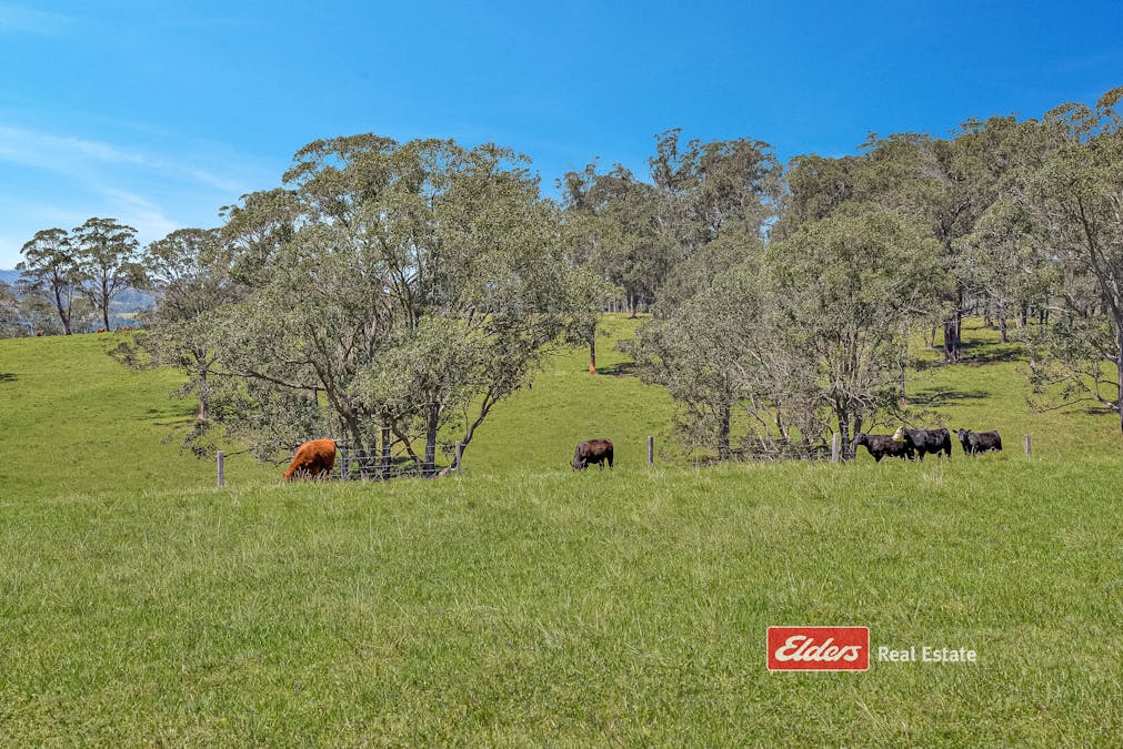 879 Bowman Farm Road, Bowman Farm via, Gloucester, NSW, 2422 - Image 25