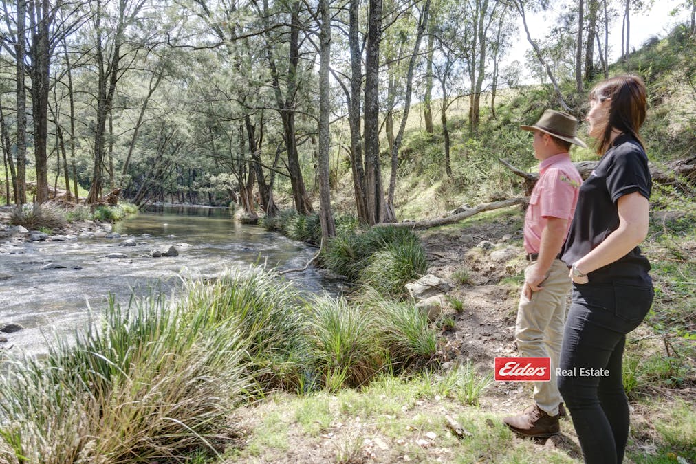 Lots 76-78 Glen Ward Road, Glen Ward VIA, Gloucester, NSW, 2422 - Image 14