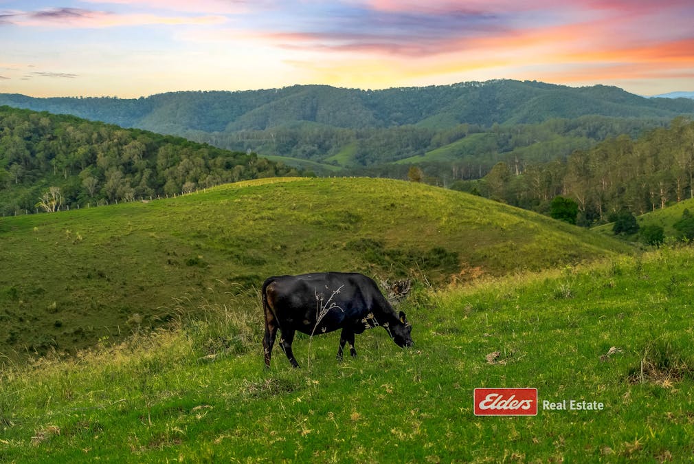 949 Tipperary Road, Tipperary via, Gloucester, NSW, 2422 - Image 28