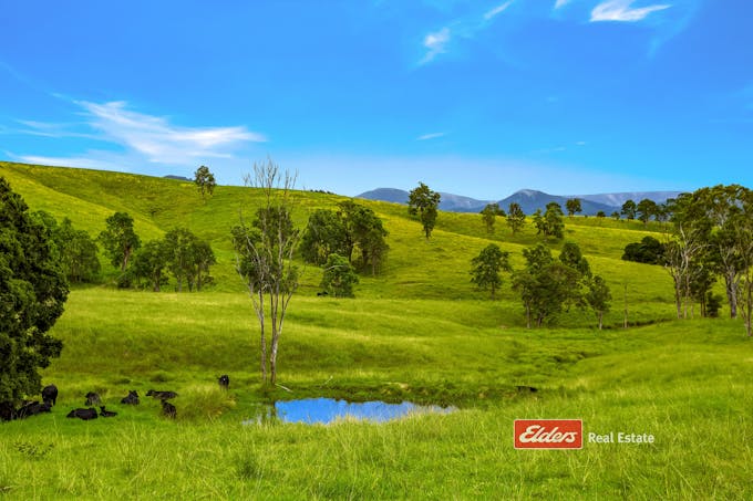 2121 Salisbury Road, Salisbury via, Dungog, NSW, 2420 - Image 1