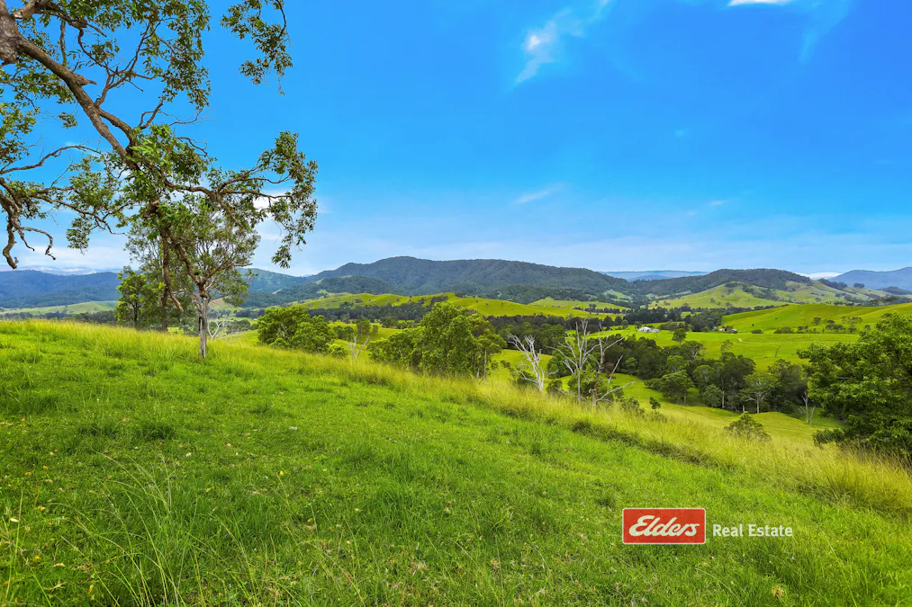 2121 Salisbury Road, Salisbury via, Dungog, NSW, 2420 - Image 4