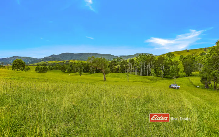 2121 Salisbury Road, Salisbury via, Dungog, NSW, 2420 - Image 1