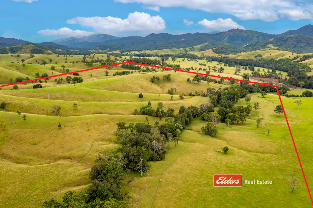 2121 Salisbury Road, Salisbury via, Dungog, NSW, 2420 - Image 7