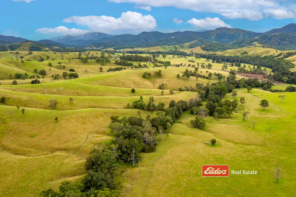 2121 Salisbury Road, Salisbury via, Dungog, NSW, 2420 - Image 11