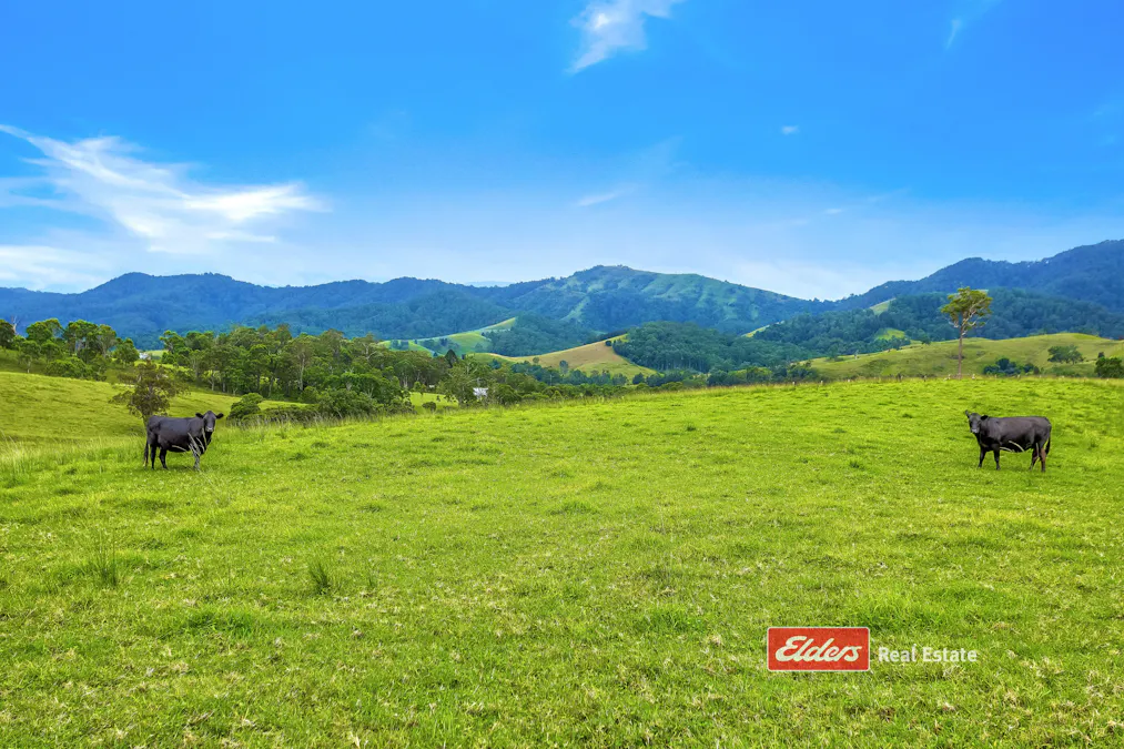 2121 Salisbury Road, Salisbury via, Dungog, NSW, 2420 - Image 12