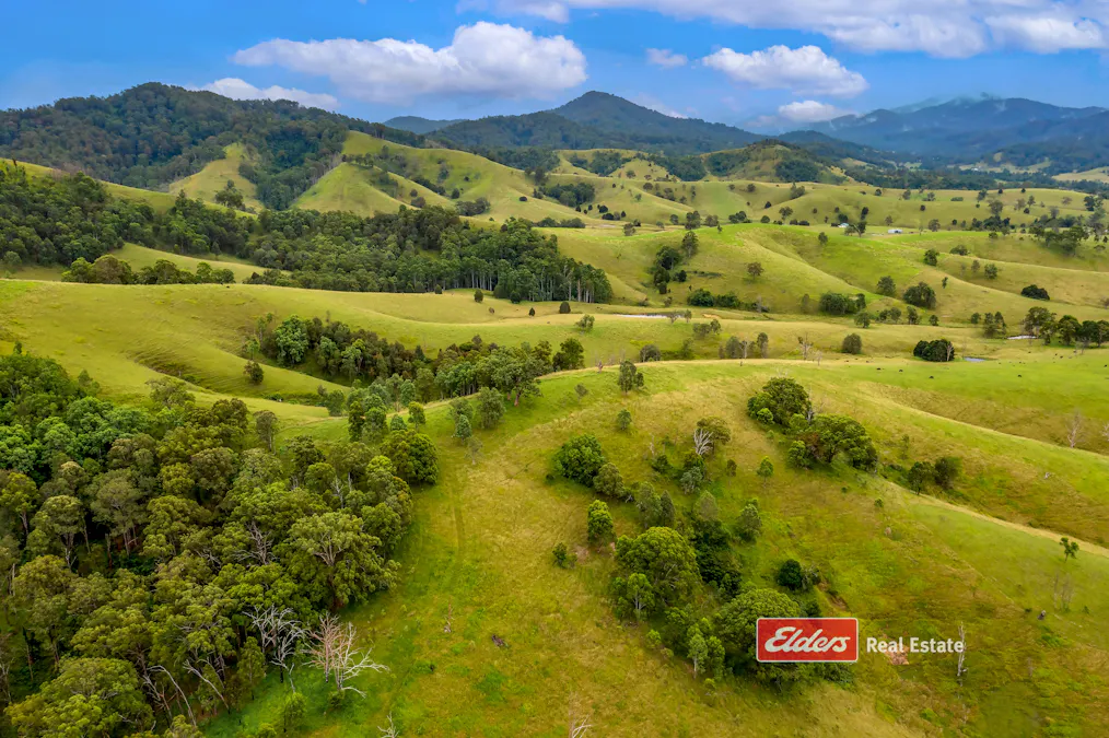 2121 Salisbury Road, Salisbury via, Dungog, NSW, 2420 - Image 14