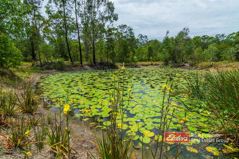 647 Markwell Back Road, Markwell, NSW, 2423 - Image 17