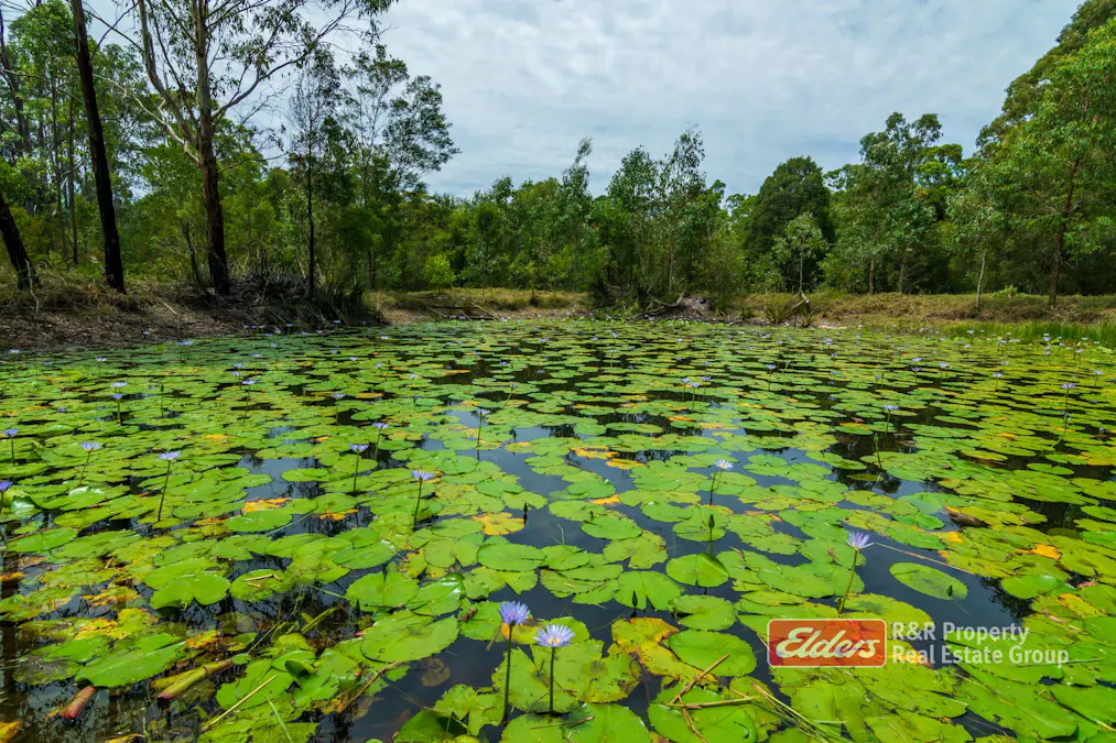 647 Markwell Back Road, Markwell, NSW, 2423 - Image 18