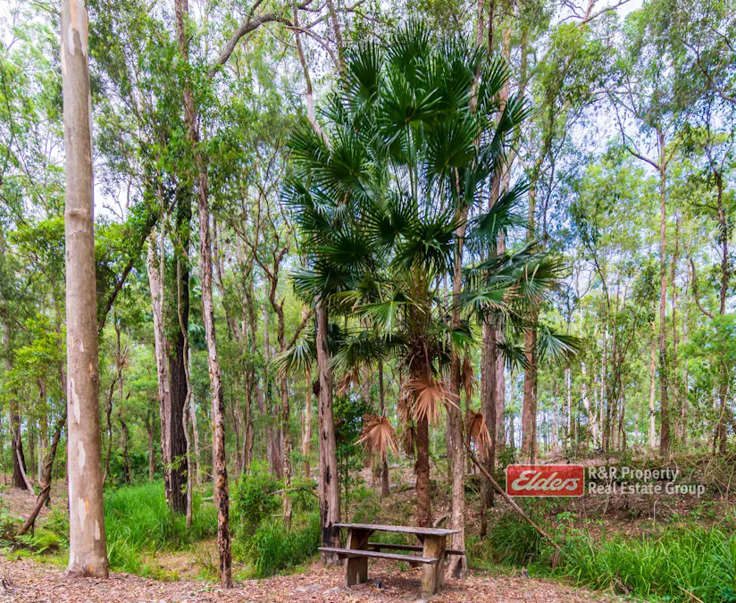 647 Markwell Back Road, Markwell, NSW, 2423 - Image 21