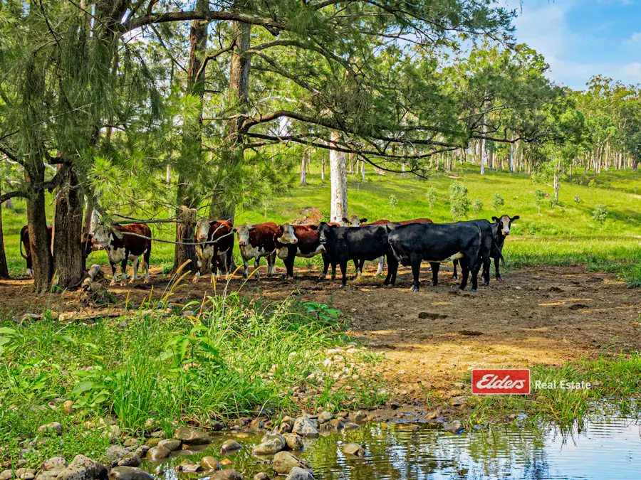 Part of 869 Gloucester Tops Road, Berrico via, Gloucester, NSW, 2422 - Image 4