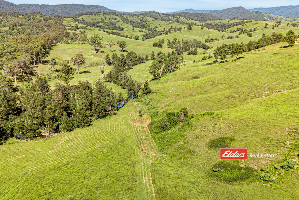 Part of 869 Gloucester Tops Road, Berrico via, Gloucester, NSW, 2422 - Image 6