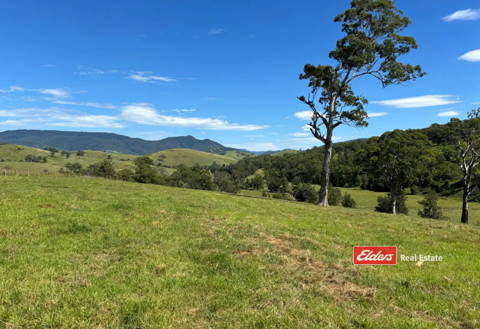 Part of 869 Gloucester Tops Road, Berrico via, Gloucester, NSW, 2422 - Image 14