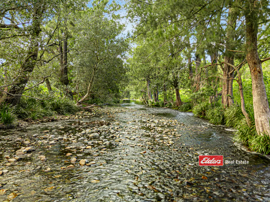 Part of 869 Gloucester Tops Road, Berrico via, Gloucester, NSW, 2422 - Image 10