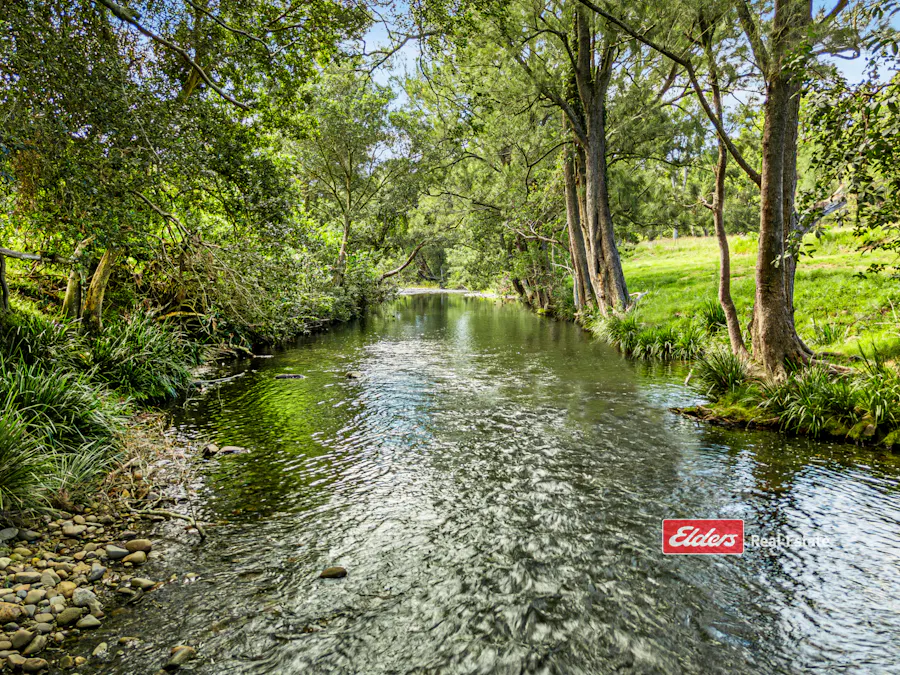 Part of 869 Gloucester Tops Road, Berrico via, Gloucester, NSW, 2422 - Image 11