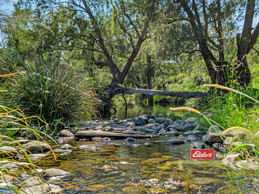 Part of 869 Gloucester Tops Road, Berrico via, Gloucester, NSW, 2422 - Image 13