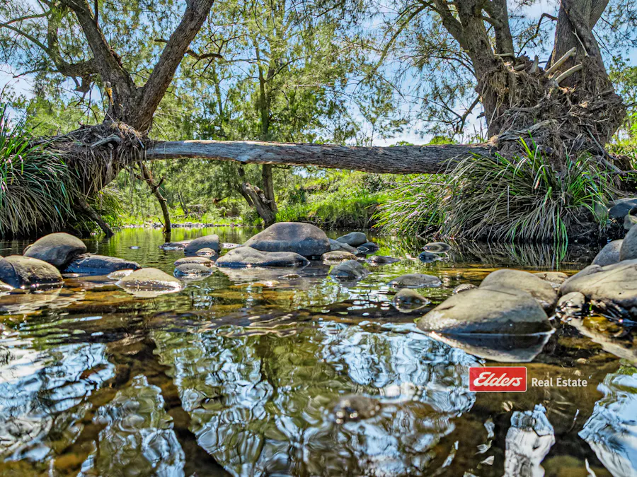 Part of 869 Gloucester Tops Road, Berrico via, Gloucester, NSW, 2422 - Image 14