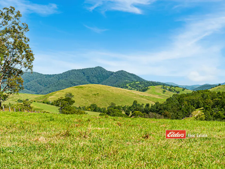 Part of 869 Gloucester Tops Road, Berrico via, Gloucester, NSW, 2422 - Image 21