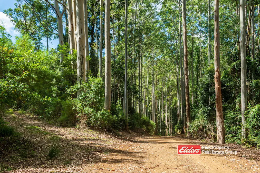 Off Thunderbolts Way, MARES RUN via, Gloucester, NSW, 2422 - Image 35