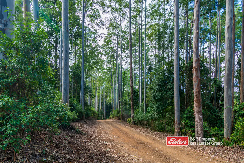 Off Thunderbolts Way, MARES RUN via, Gloucester, NSW, 2422 - Image 2