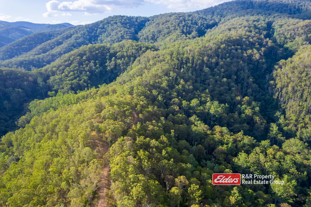 59 Curricabark Road, Dewitt via, Gloucester, NSW, 2422 - Image 7