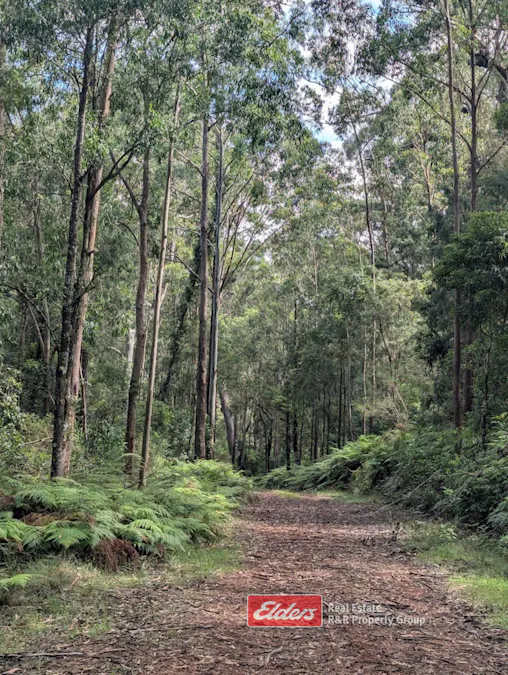 59 Curricabark Road, Dewitt via, Gloucester, NSW, 2422 - Image 8