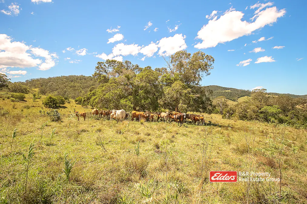 330 Smiths Road, Callaghans Creek, via, Gloucester, NSW, 2422 - Image 22