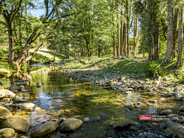 1561 Bowman River Road, Bowman via, Gloucester, NSW, 2422 - Image 1