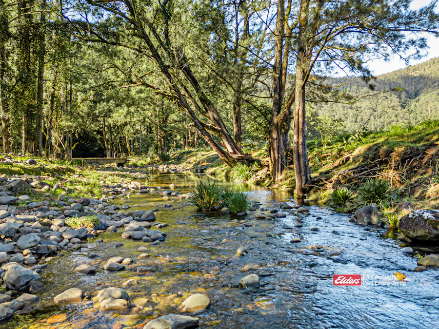 1561 Bowman River Road, Bowman via, Gloucester, NSW, 2422 - Image 5