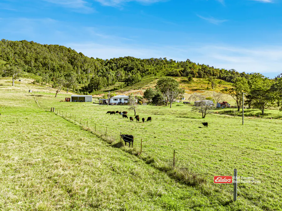1561 Bowman River Road, Bowman via, Gloucester, NSW, 2422 - Image 27