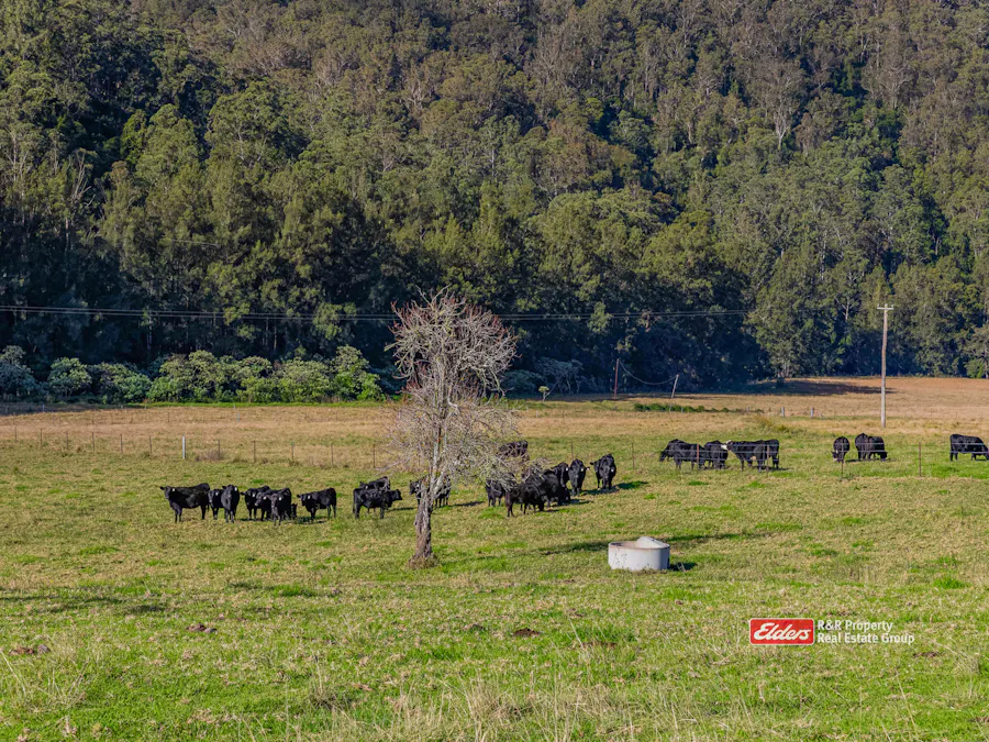 1561 Bowman River Road, Bowman via, Gloucester, NSW, 2422 - Image 4