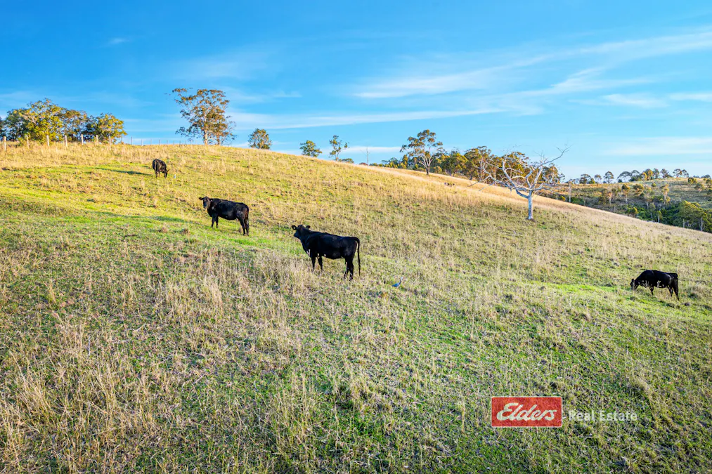 949 Tipperary Road, Tipperary via, Gloucester, NSW, 2422 - Image 18
