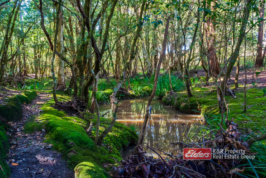 Lot 2/1811 Booral Road, Girvan, NSW, 2425 - Image 6