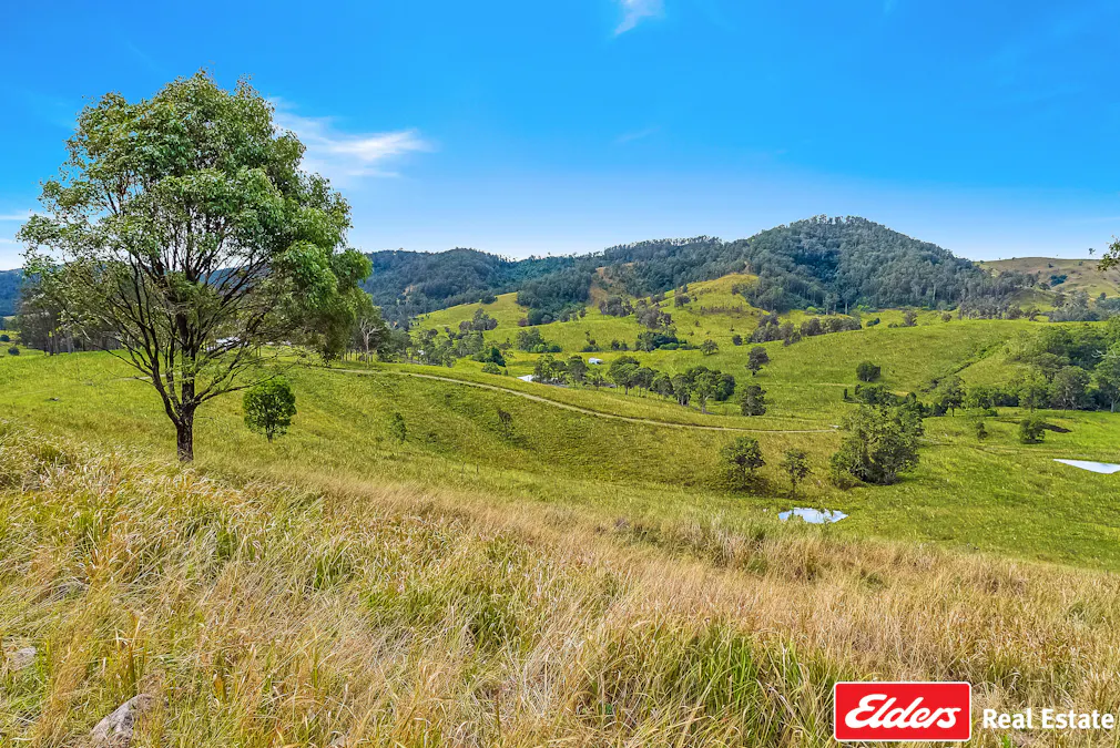 780 Mograni Creek Road, Mograni via, Gloucester, NSW, 2422 - Image 19
