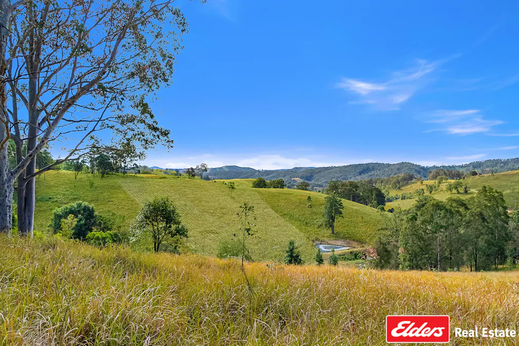 780 Mograni Creek Road, Mograni via, Gloucester, NSW, 2422 - Image 20